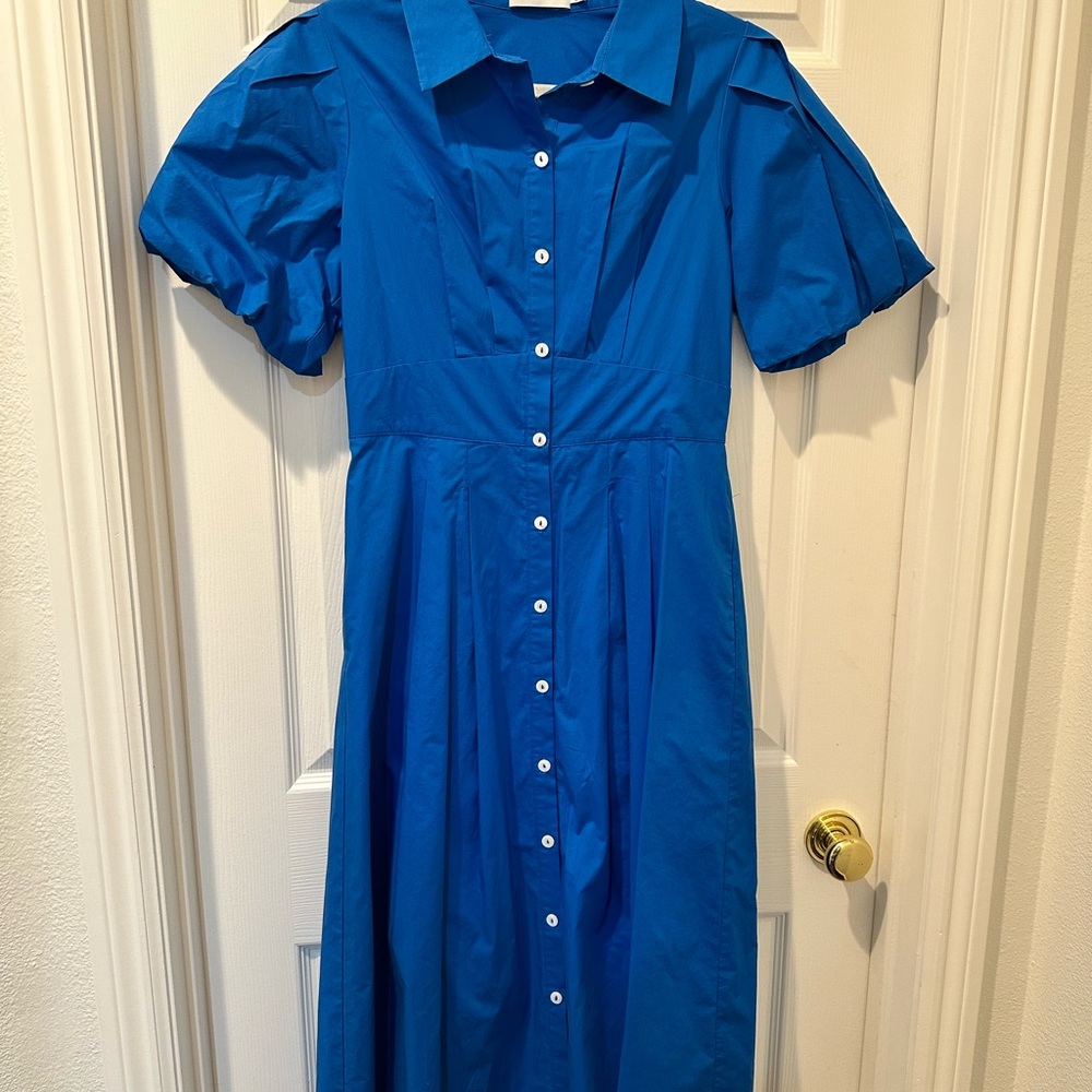 Greylin Bright Blue Button-Front Midi Dress